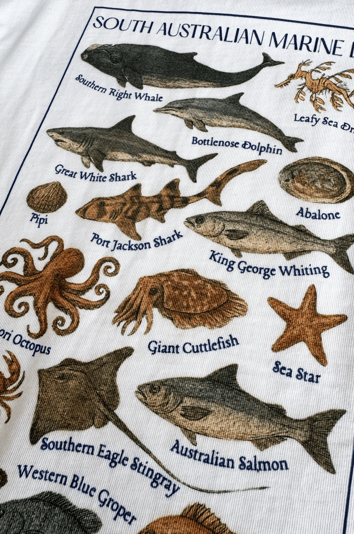 Marine Life Graphic Tee