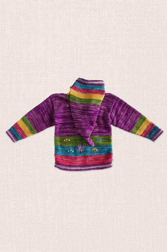 Andean Storybook Knit Jacket