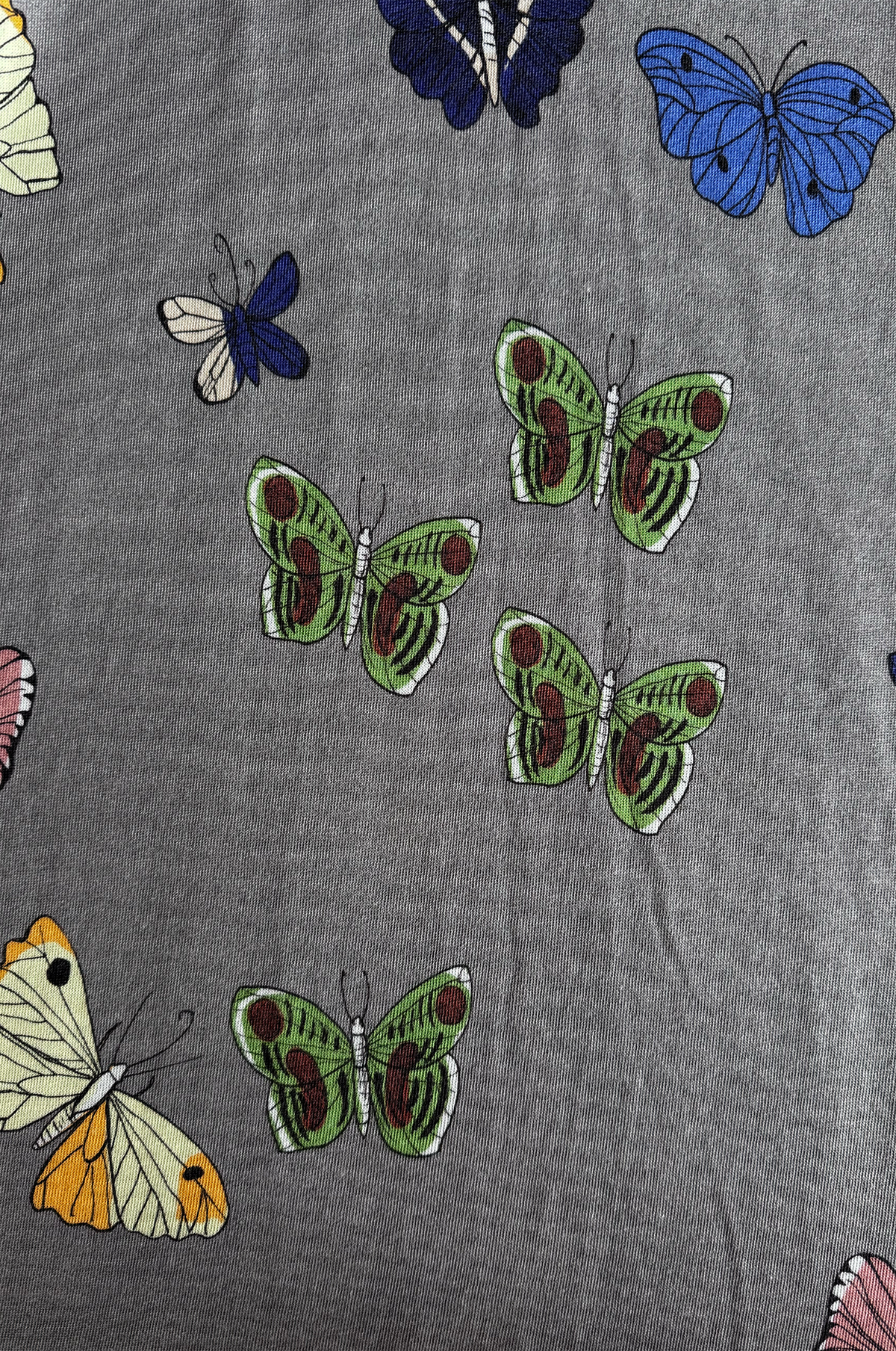 Butterfly Collar Dress