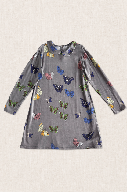 Butterfly Collar Dress