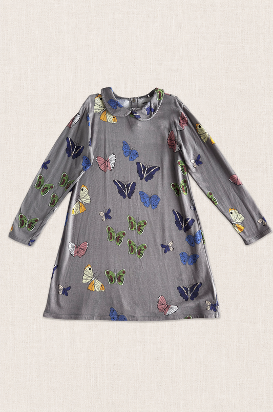 Butterfly Collar Dress
