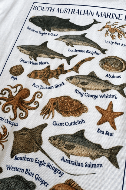 Marine Life Graphic Tee