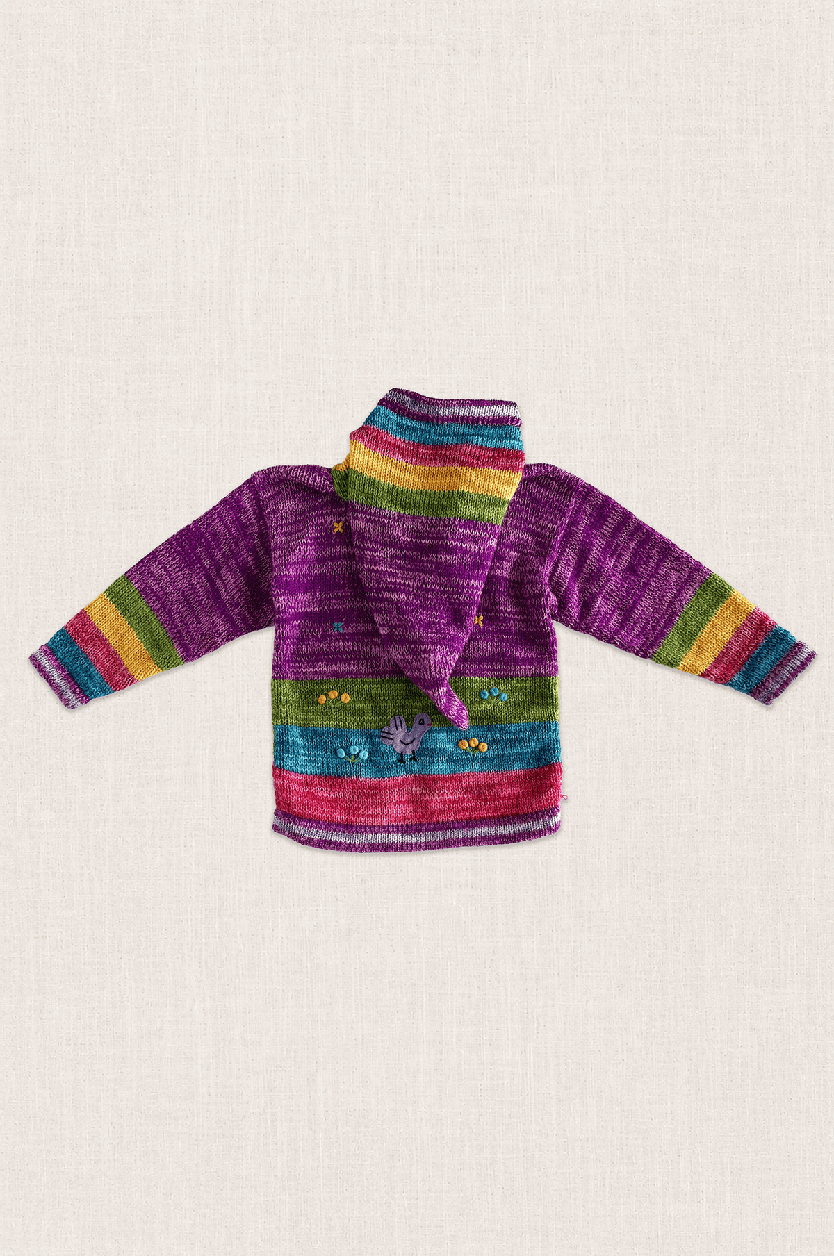 Andean Storybook Knit Jacket