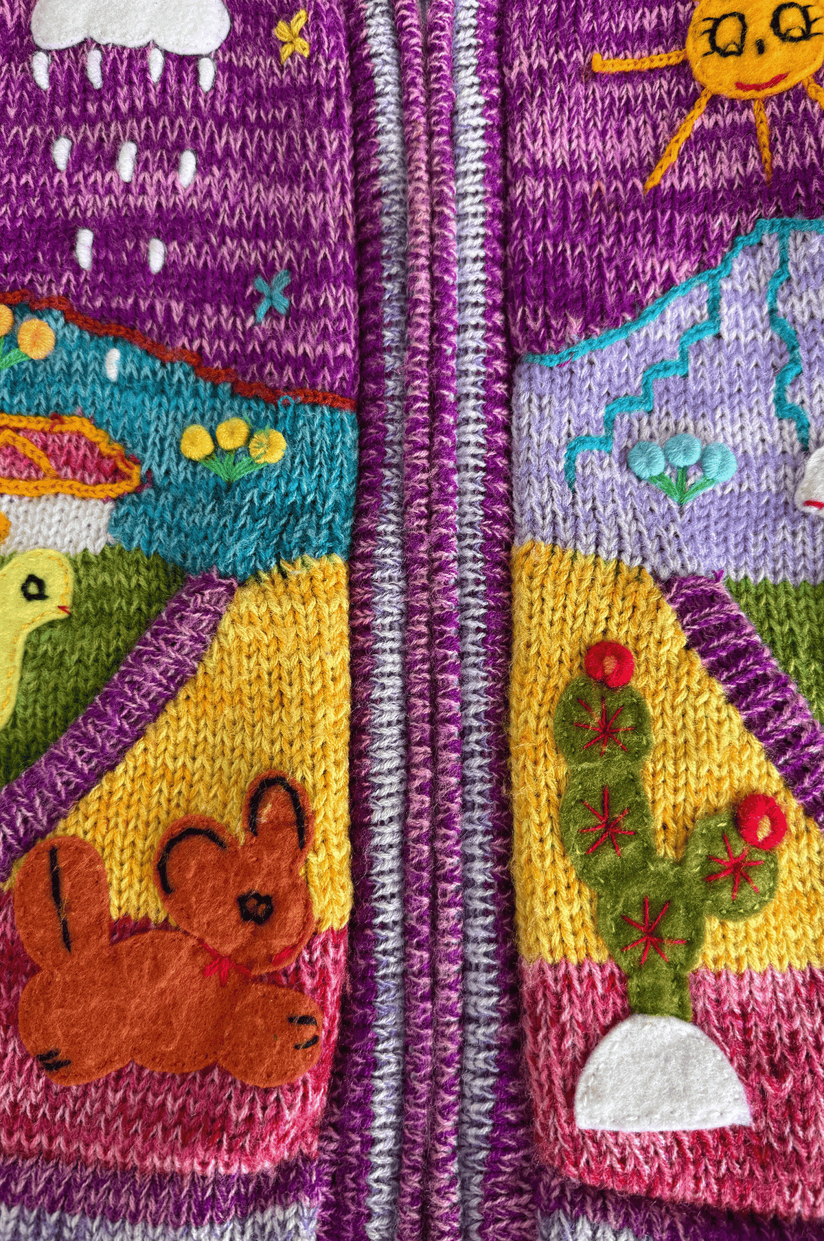 Andean Storybook Knit Jacket
