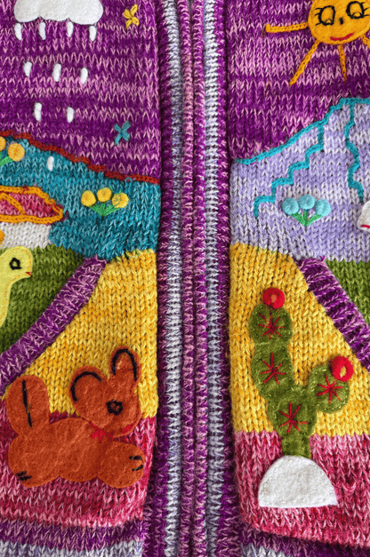Andean Storybook Knit Jacket