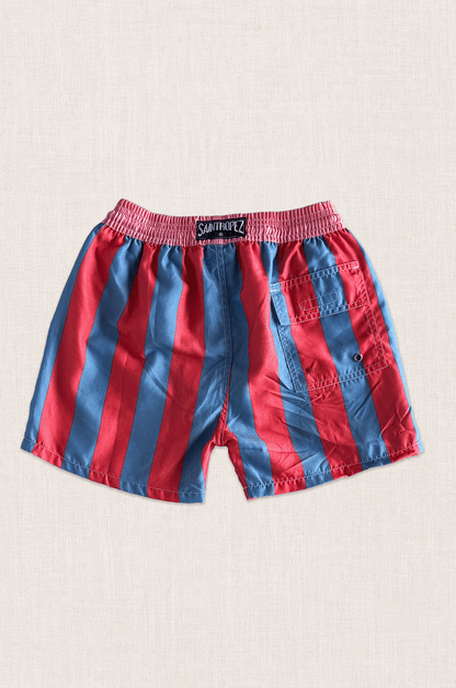 Retro Stripe Swim Shorts