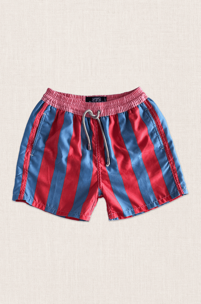 Retro Stripe Swim Shorts