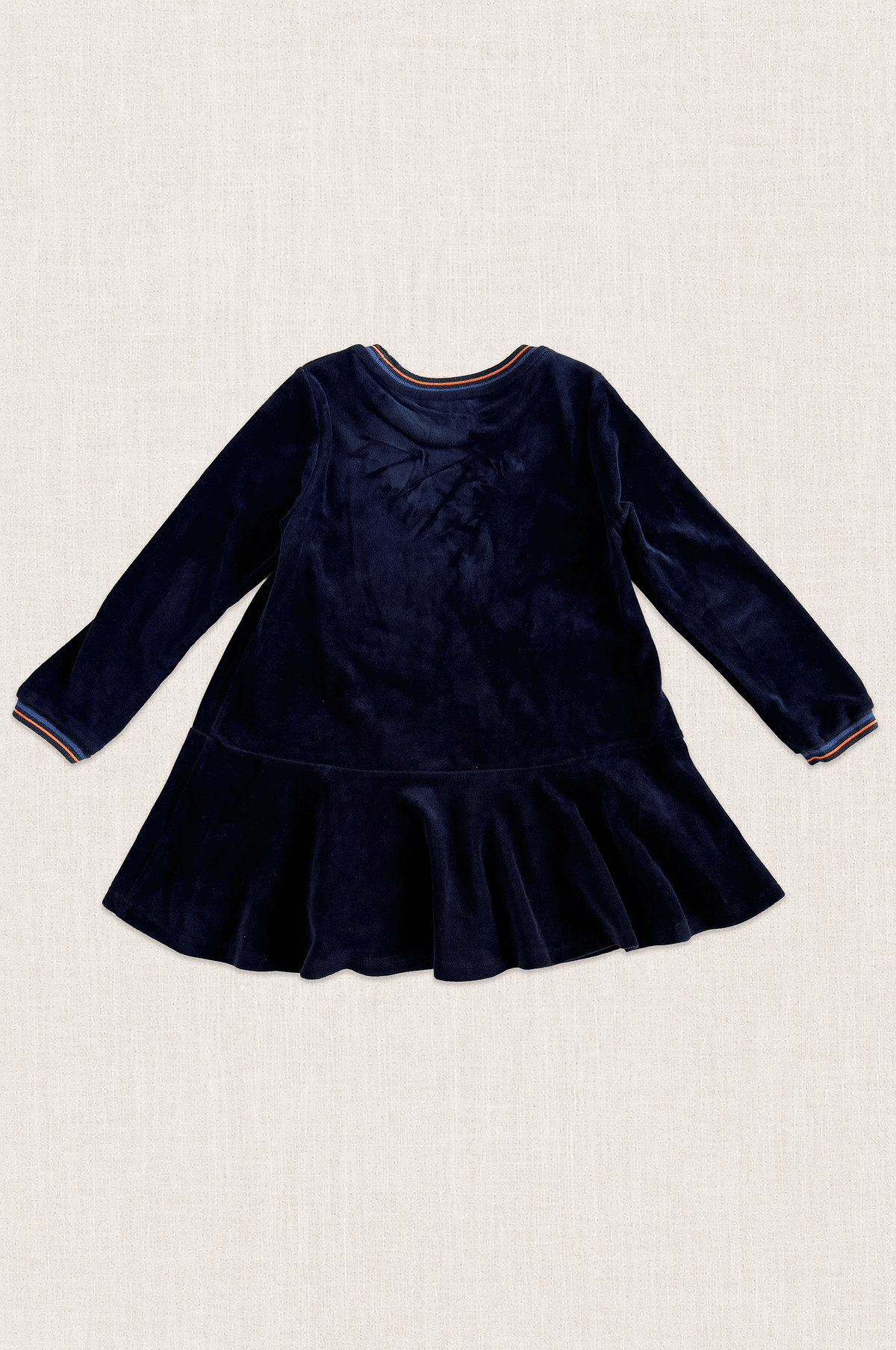 Midnight Bird Velour Dress
