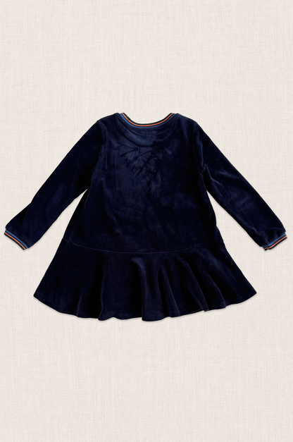 Midnight Bird Velour Dress