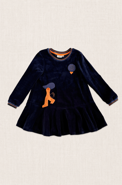 Midnight Bird Velour Dress