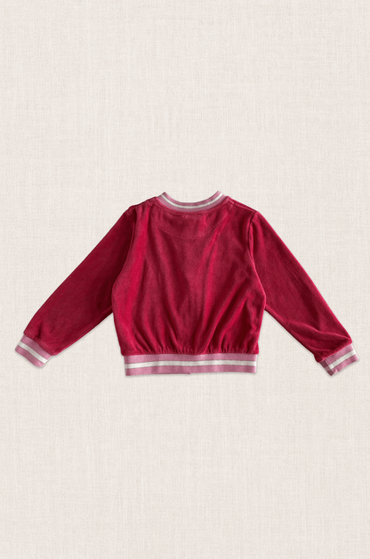 Embroidered Velour Bomber