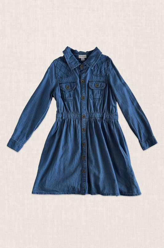Brass Button Denim Shirt Dress