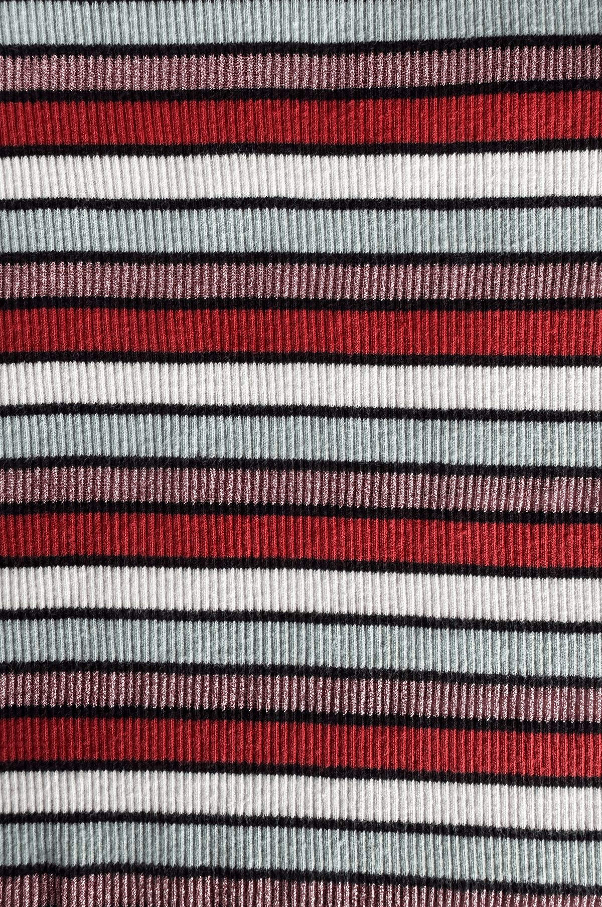 Metallic Stripe Ribbed Long Sleeve Top