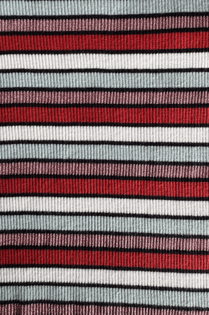 Metallic Stripe Ribbed Long Sleeve Top