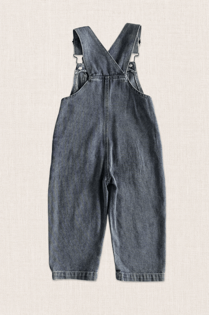 Daisy Denim Overalls