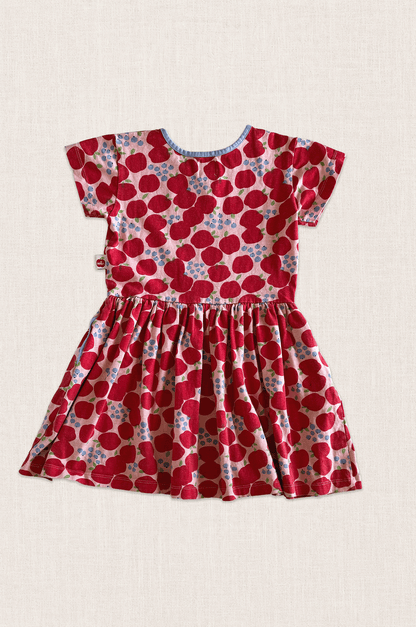 Apple & Berry Cotton Dress