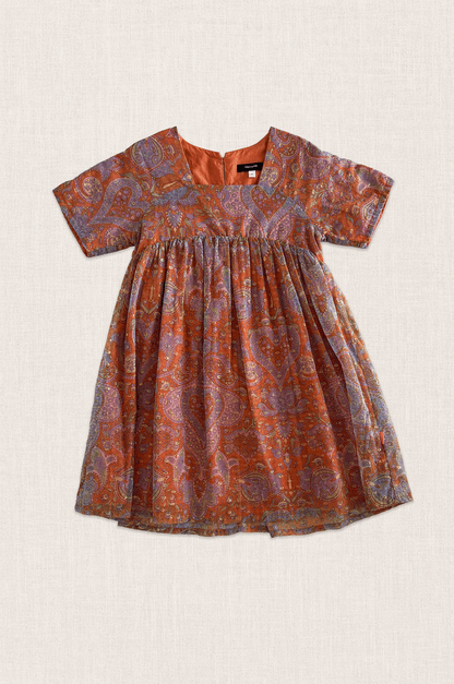 Metallic Paisley Dress