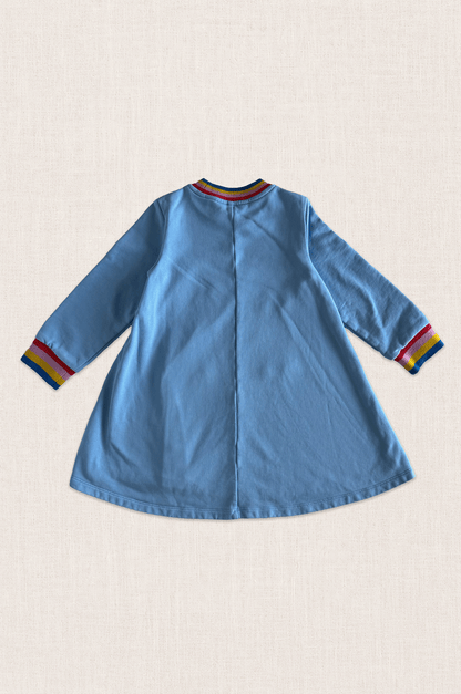 Rainbow Ant Sweatshirt Dress