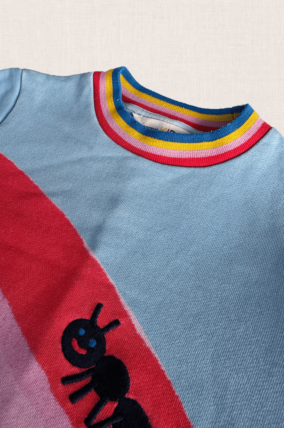 Rainbow Ant Sweatshirt Dress